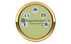 grupoprevysel.com